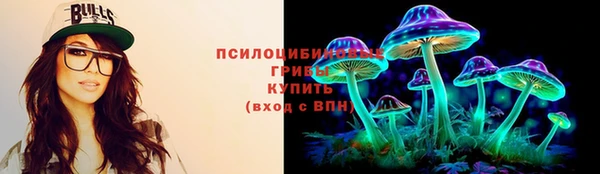 мескалин Богданович