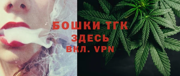 прущие грибы Заволжск