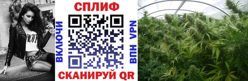 Бошки марихуана VHQ Менделеевск